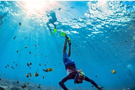 Snorkeling and Shopping Tour in Montego Bay with pick up