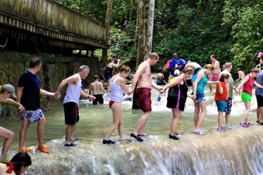 Dunn's River Falls and Luminous Lagoon Guided Tour from Grand Palladium
