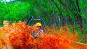 Our ATV & safari tour