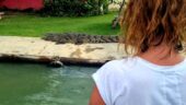 Jamaica Excursion