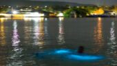 Magical lagoon!
