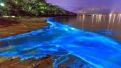 Spooky haunted house tour that ends with a warm dip in the lagoon