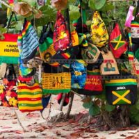 Fashion Shows & Tours