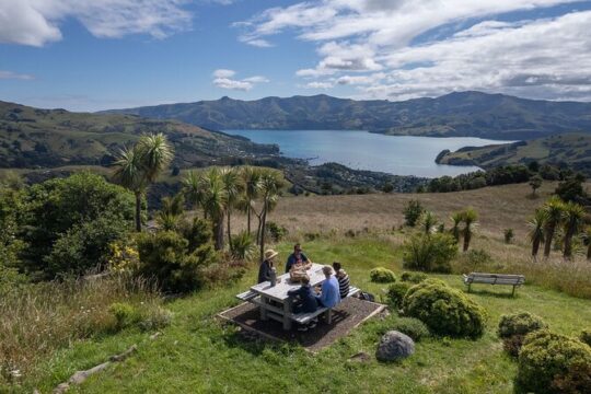 Akaroa Nature and History Tour