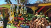 Great Authentic Food Tour