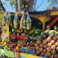 Street Food Tours