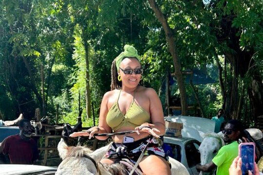 5 in 1 Day Jamaican Adventure with Jhadano Tours