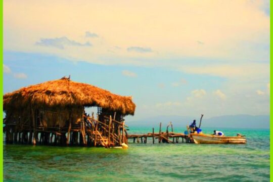 YS Falls , Black River Safari and Floyd's Pelican Bar