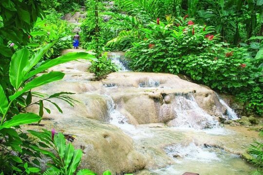 Ocho Rios Private Guided Tour with Transportation