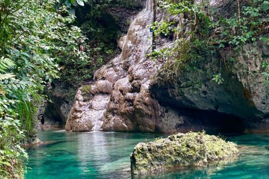 Portland Jamaica Private Day Tour