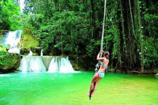 South Coast Tour to YS Falls, Pelican Bar