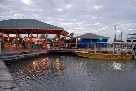 Martha Brae River Rafting Tour And Luminous Lagoon